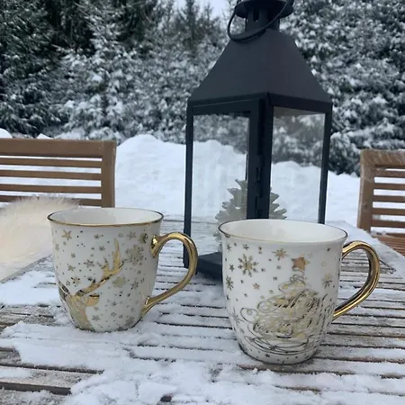 Villa Gorska Lokvarsko Jezero *