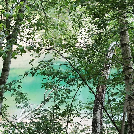 Gorska Lokvarsko Jezero Villa